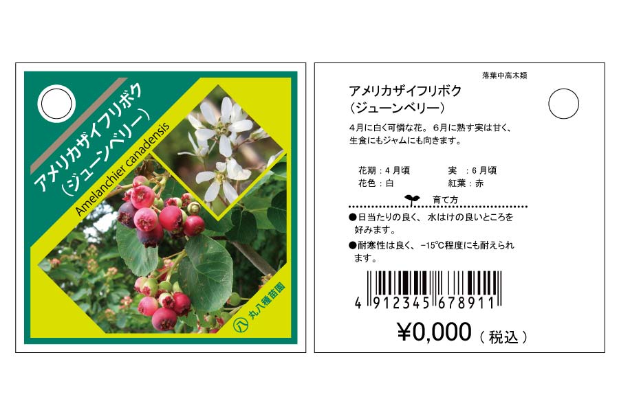 樹木吊りラベル